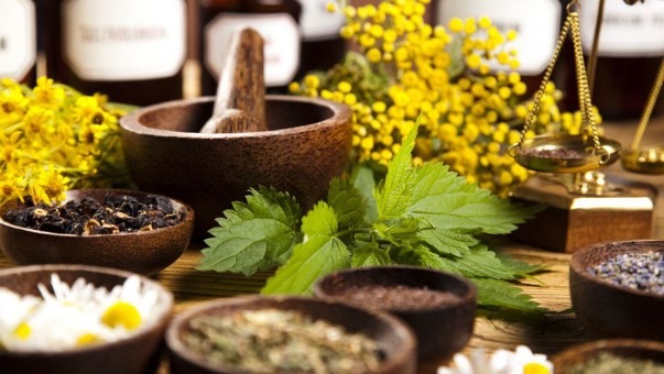 Three Culinary Herbs in Ayurveda for Effective Healing